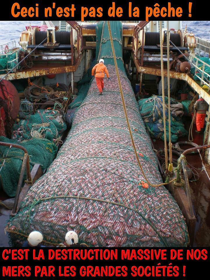 Ce n est pas de la peche