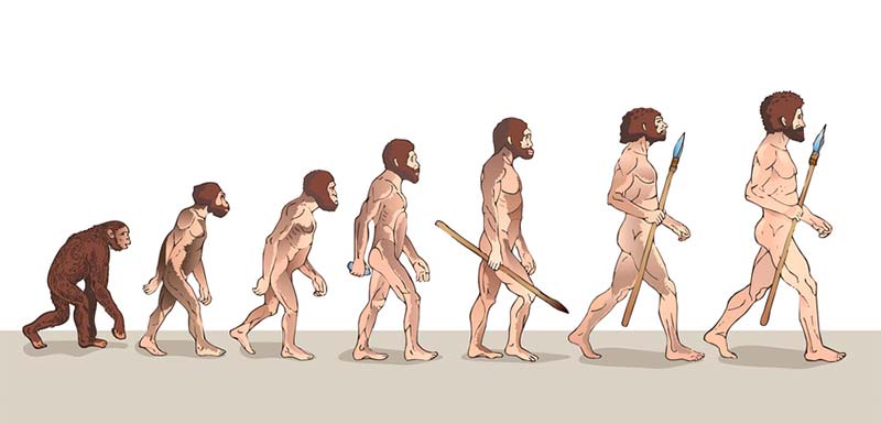 Evolution etre humain