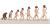 Evolution etre humain